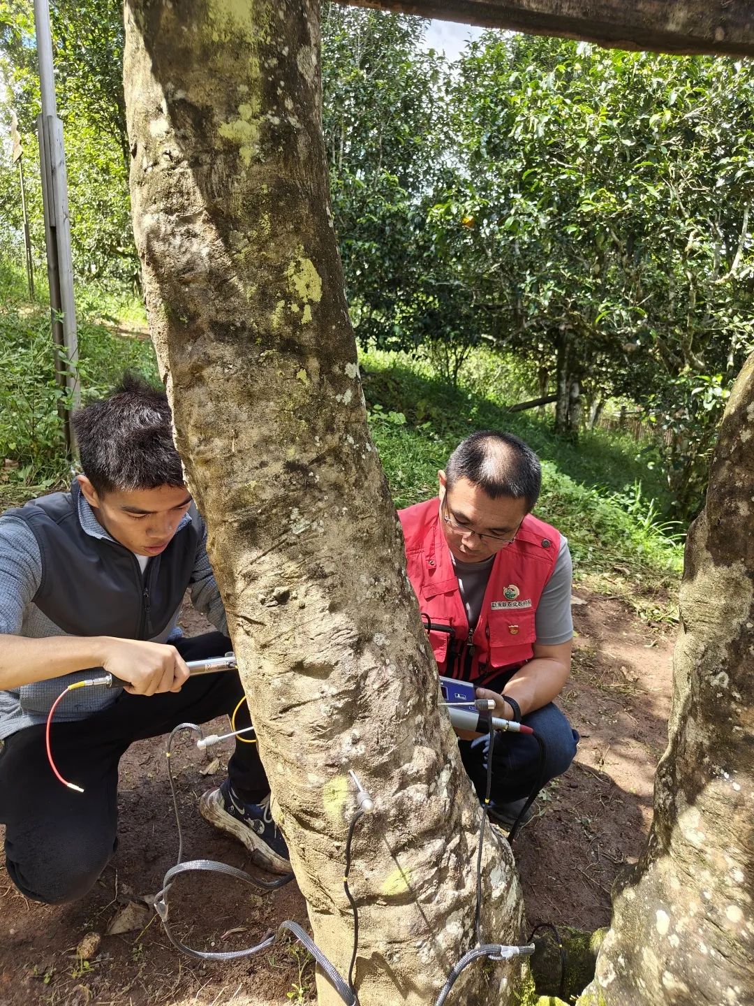 圖片關(guān)鍵詞