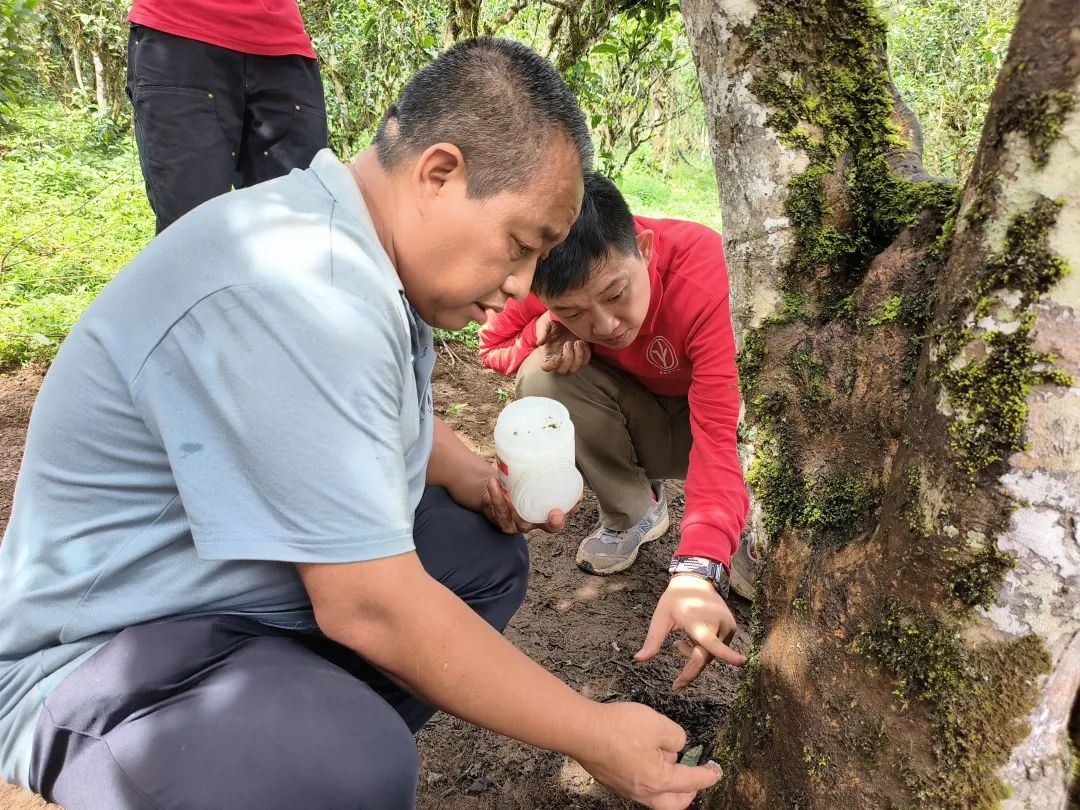 圖片關(guān)鍵詞