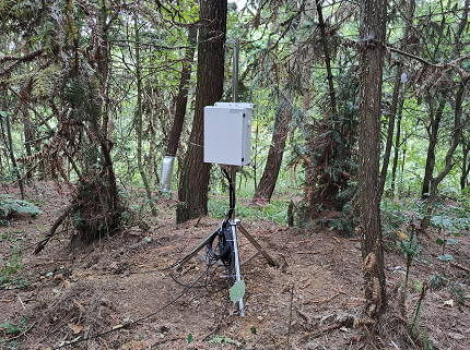 植物液流監(jiān)測(cè)