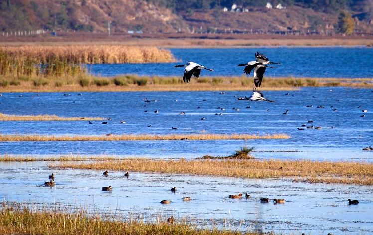 水質(zhì)監(jiān)測