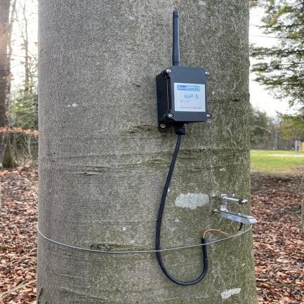 植物無(wú)線數(shù)據(jù)傳輸測(cè)量系統(tǒng)