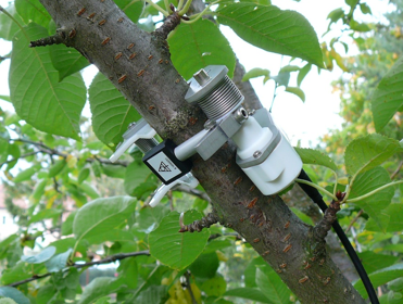 包裹式莖流測(cè)量