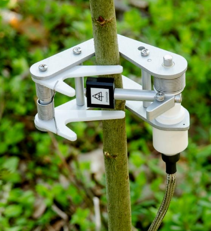 莖干生長(zhǎng)傳感器