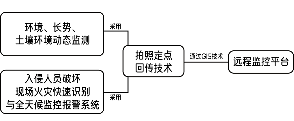 圖片關(guān)鍵詞