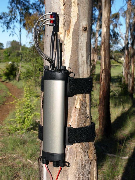 莖流（液流）計