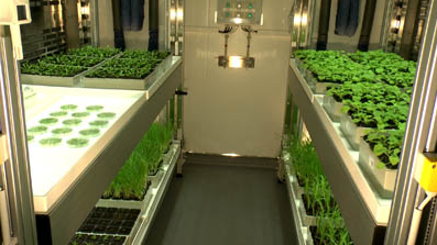 植物生長箱 植物生長箱