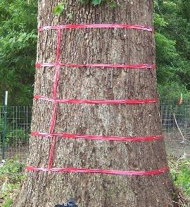 圖片關(guān)鍵詞