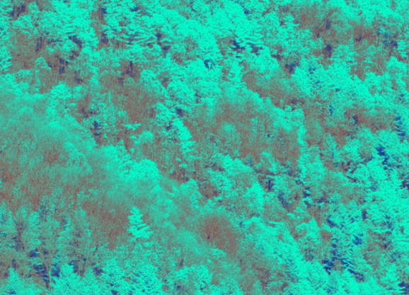 圖片關(guān)鍵詞