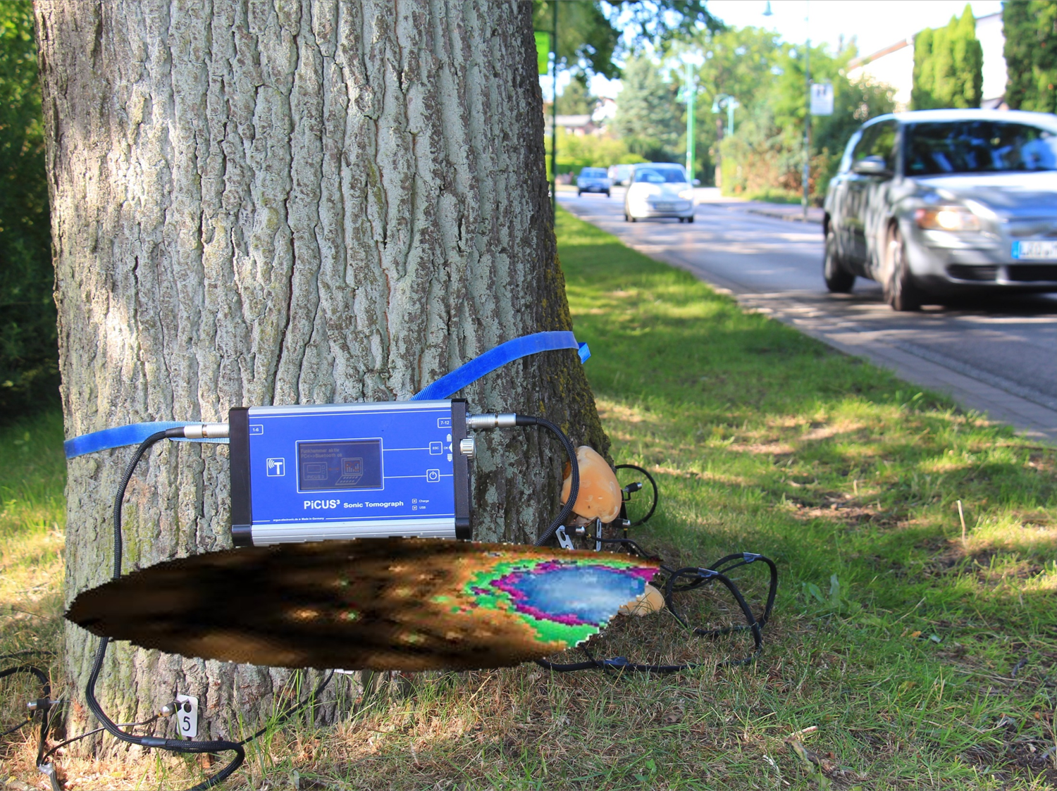 Picus 3樹木斷層畫像診斷儀