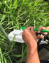 植物光合作用速率測(cè)量?jī)x