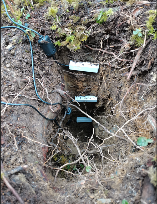 生理生態(tài)監(jiān)測系統(tǒng)