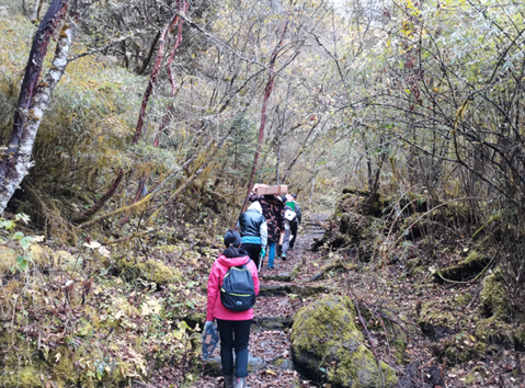 生理生態(tài)監(jiān)測系統(tǒng)