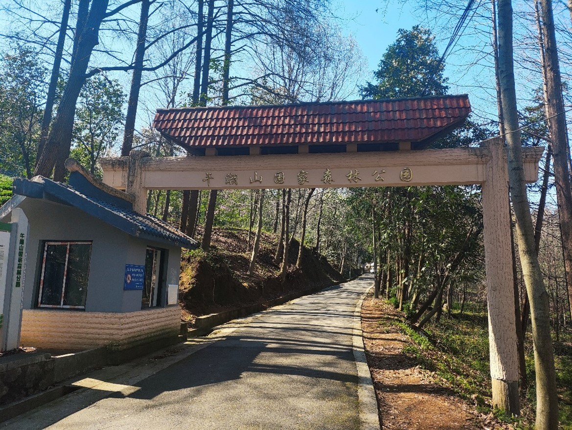 圖片關(guān)鍵詞