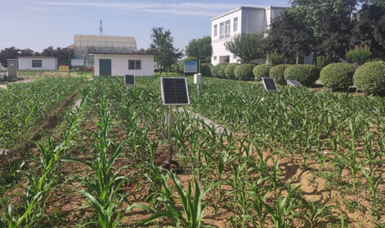 土壤旱情監(jiān)測系統(tǒng)