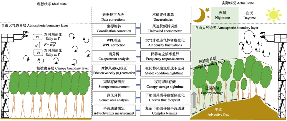 渦度相關(guān)技術(shù)通量觀測示意圖
