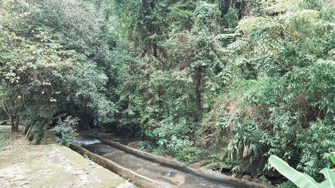 桂山風(fēng)景區(qū)