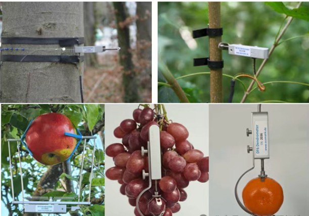 植物生長測量傳感器