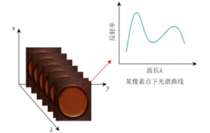 高光譜成像技術(shù)