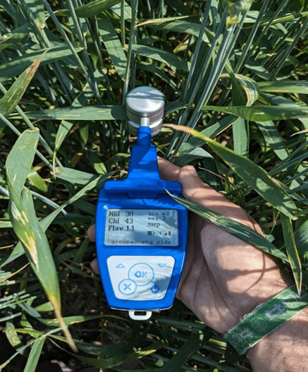 植物葉綠素&多酚測(cè)量儀