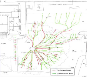 TRU樹木雷達(dá) TRU樹木雷達(dá)