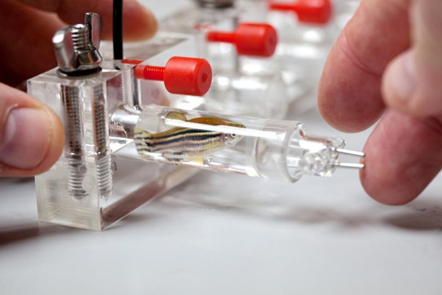 呼吸代謝測(cè)量系統(tǒng)