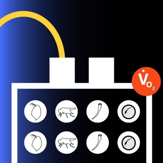 呼吸測量系統(tǒng)