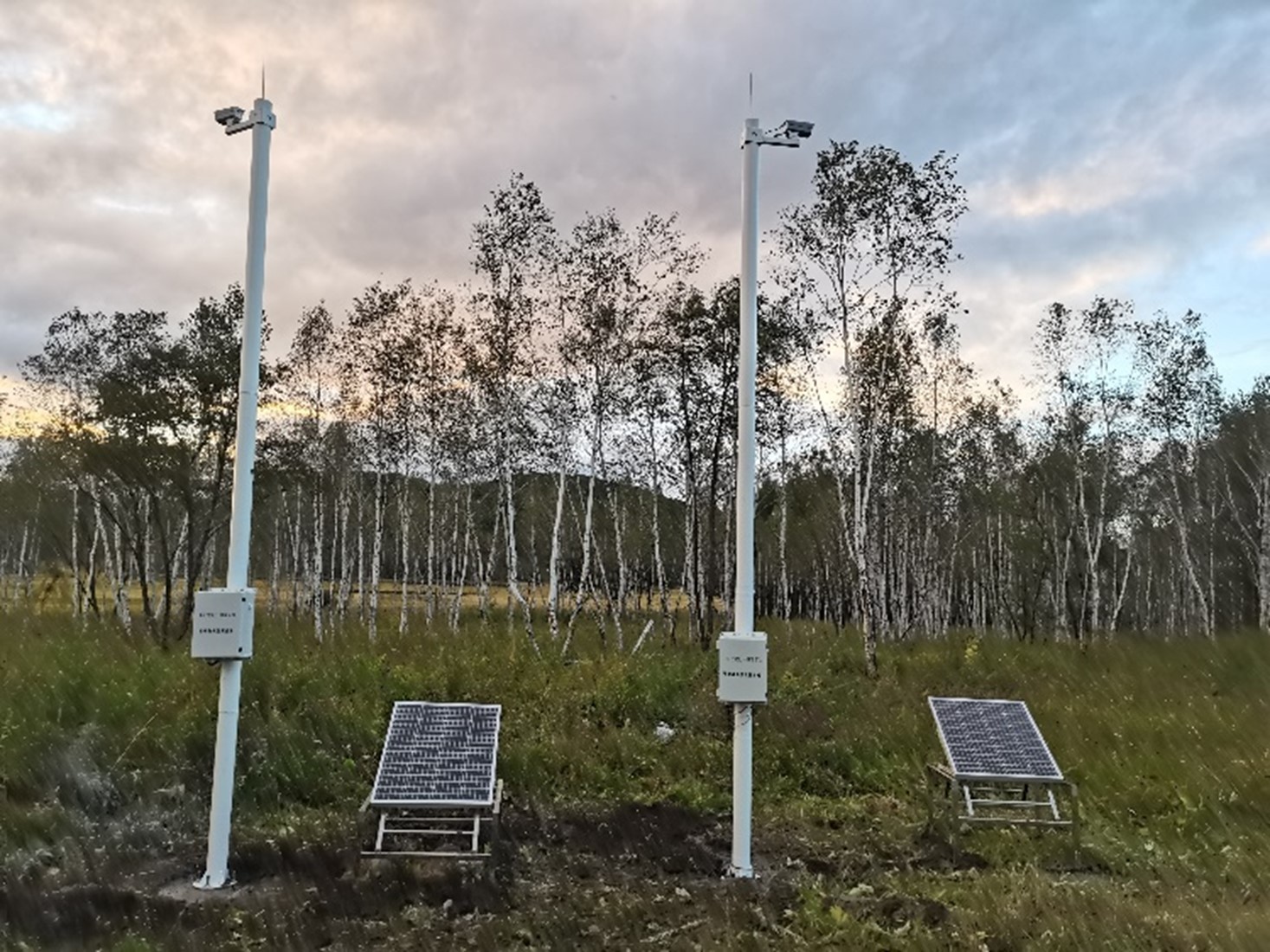 植物物候監(jiān)測