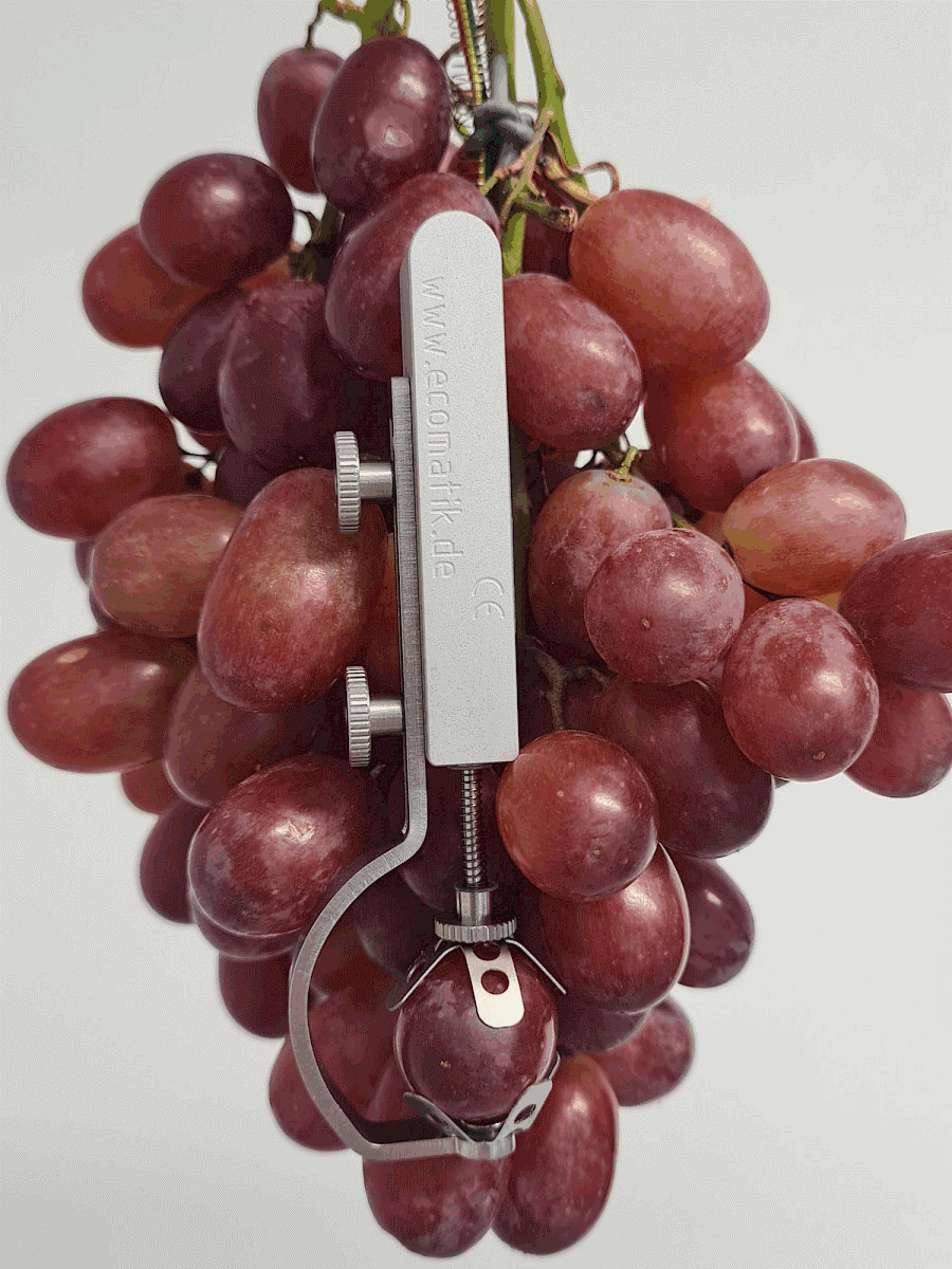 水果、蔬菜生長變化記錄儀