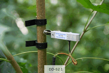 DD-S2直徑生長測量