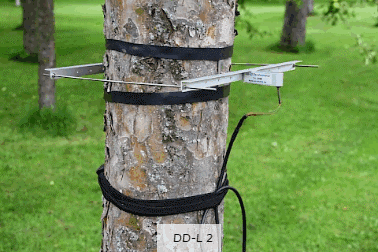 DD-L2直徑生長測(cè)量