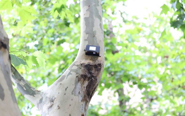 行道樹(shù)傾斜智能監(jiān)測(cè)系統(tǒng) 行道樹(shù)傾斜智能監(jiān)測(cè)系統(tǒng)