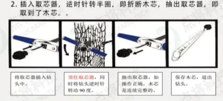 樹(shù)木生長(zhǎng)錐全攻略