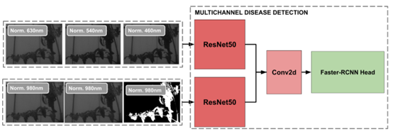 多通道疾病檢測模塊