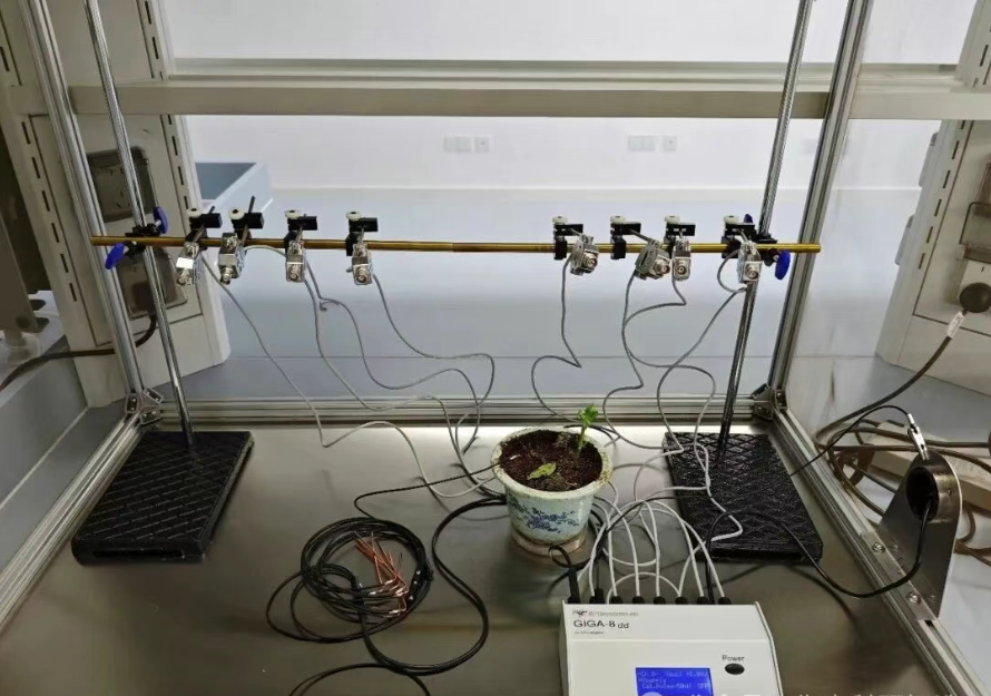 EPG昆蟲刺探電位儀系統(tǒng)